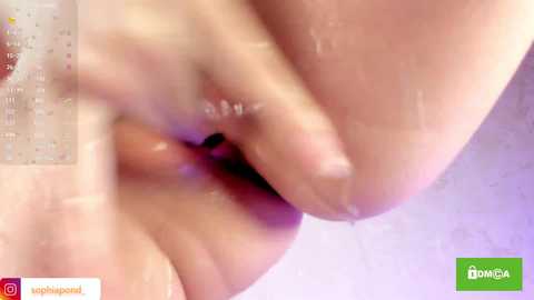 minusvibe free recording from 2026-04-16 00:51:00