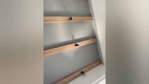 nezukoo free recording from 2026-04-16 01:07:00