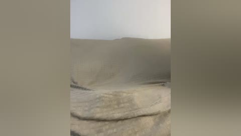 vacilonlime free recording from 2026-04-16 00:51:00