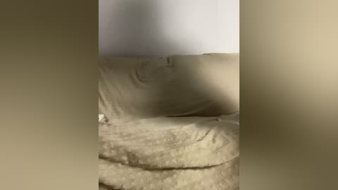 vacilonlime free recording from 2026-04-16 17:15:00