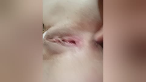 sladkie25 free recording from 2026-04-17 01:54:00