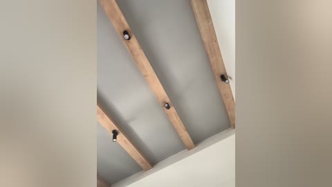 nezukoo free recording from 2026-04-18 00:02:00