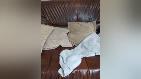 xtamarax free recording from 2026-04-18 00:02:00