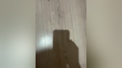 fasss8888 free recording from 2026-04-19 00:09:00