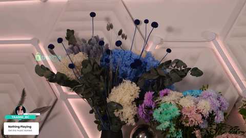 taanni free recording from 2026-04-19 01:26:00