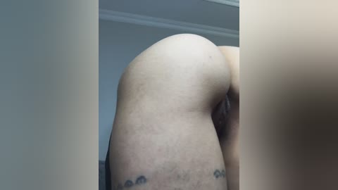 talilia free recording from 2026-04-19 00:03:00