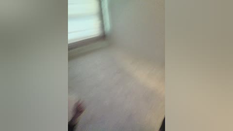 vgtyhn free recording from 2026-04-19 00:09:00