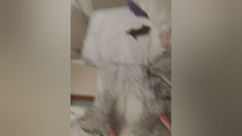 laylay13 free recording from 2026-04-20 00:39:00