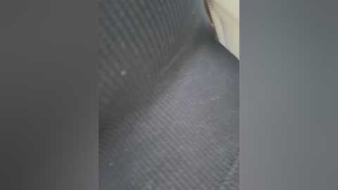 orgazmia free recording from 2026-04-20 00:39:00