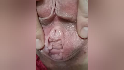 szanet free recording from 2026-04-20 00:39:00