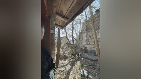 tr1xie free recording from 2026-04-20 00:39:00