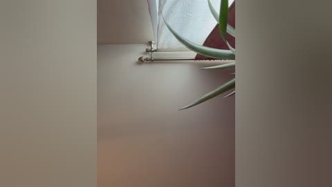 _maybebaby_ free recording from 2026-04-21 00:37:00