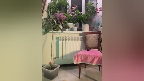 cutiedollbc free recording from 