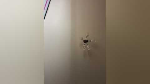 hellmor free recording from 2026-04-21 00:14:00