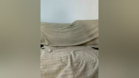 vacilonlime free recording from 2026-04-21 01:14:00