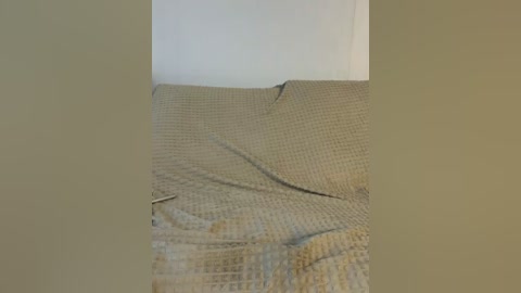 vacilonlime free recording from 2026-04-21 00:00:00