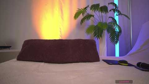 1orgasm1 free recording from 2026-04-22 00:02:00