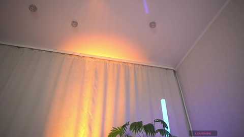 1orgasm1 free recording from 2026-04-22 06:30:00