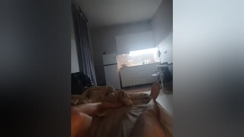 astahichalena free recording from 2026-04-22 02:06:00