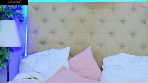 daliyaarabian free recording from 2026-04-22 03:09:00