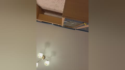 littledelora free recording from 2026-04-23 00:00:00