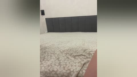 pararam free recording from 2026-04-22 00:01:00