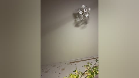 bellaandalice free recording from 2026-04-24 07:35:00