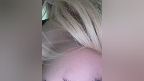 ellidi free recording from 2026-04-24 00:45:00