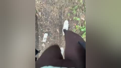 aniram2221 free recording from 2026-04-25 01:12:00