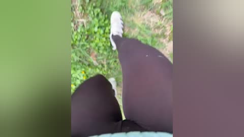 aniram2221 free recording from 2026-04-25 01:12:00