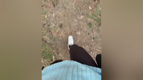 aniram2221 free recording from 2026-04-25 01:12:00