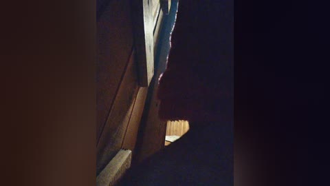 mandasex free recording from 2026-04-25 01:12:00