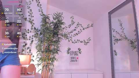 mira0_0 free recording from 2026-04-25 00:06:00