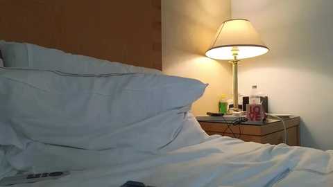 mr_and_mrs_smith_xxl free recording from 2026-04-25 00:09:00