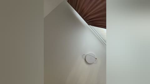 notbellucci free recording from 2026-04-25 01:12:00