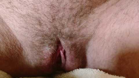 perri_shy free recording from 2026-04-25 20:58:00