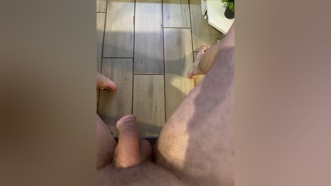 fasss8888 free recording from 2026-04-26 07:09:00