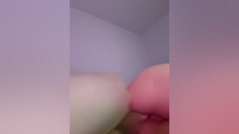 tomsan free recording from 2026-04-26 01:04:00