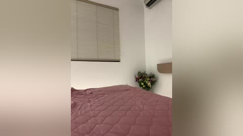 xalaxala free recording from 2026-04-26 00:11:00