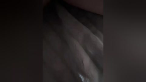 2bro free recording from 2026-04-28 00:09:00