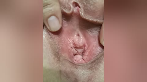 szanet free recording from 2026-04-27 00:02:00