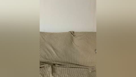 vacilonlime free recording from 2026-04-27 00:44:00