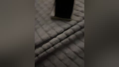 2bro free recording from 2026-04-28 00:09:00