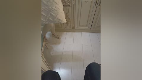 gerda_and_kai free recording from 2026-04-28 03:23:00