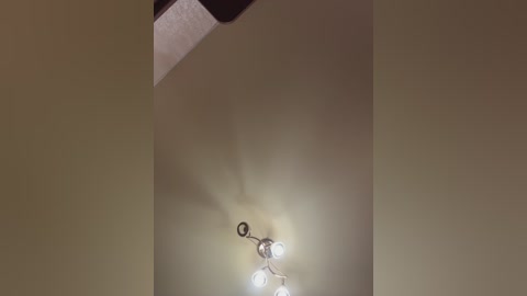 letti28 free recording from 2026-04-28 01:00:00