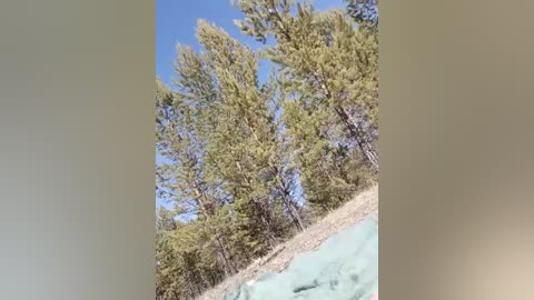 murkalux free recording from 2026-04-28 03:23:00