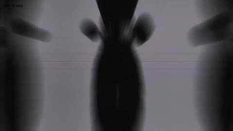 pinkfoxya free recording from 2026-04-28 01:00:00