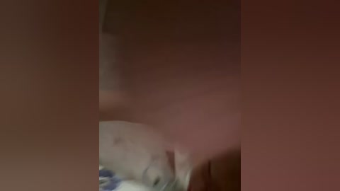 vip17coupledream free recording from 2026-04-28 03:23:00