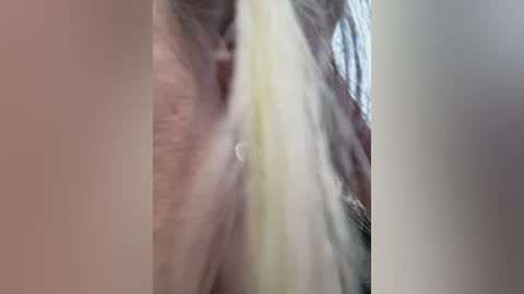 _annamaria_ free recording from 2026-04-29 00:21:00