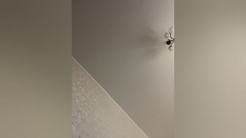 hellmor free recording from 2026-04-29 02:39:00